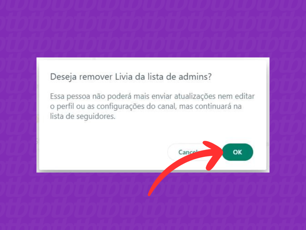 Captura de tela do site WhatsApp Web mostra como confirmar a remoção da lista de admins