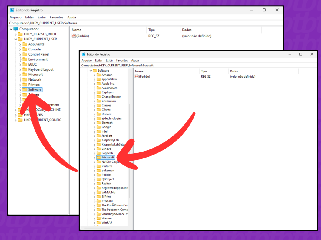 Captura de tela do Windows 11 mostra como acessar as pastas Software e Microsoft no Editor de Registro