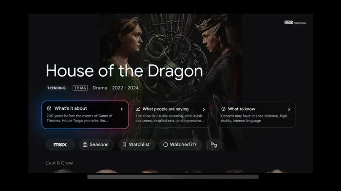 Google TV Streamer pode mostrar resumos gerados por IA (imagem: divulgação/Google)