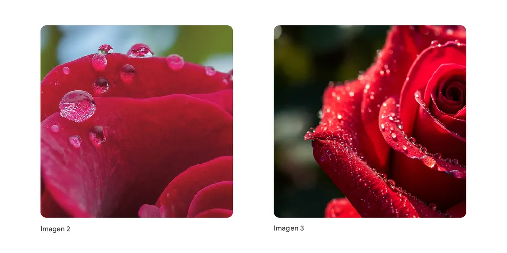 Duas imagens de rosas com gotículas d'água sobre as pétalas. A imagem gerada pelo Imagen 3 é mais detalhada que a do Imagen 2.