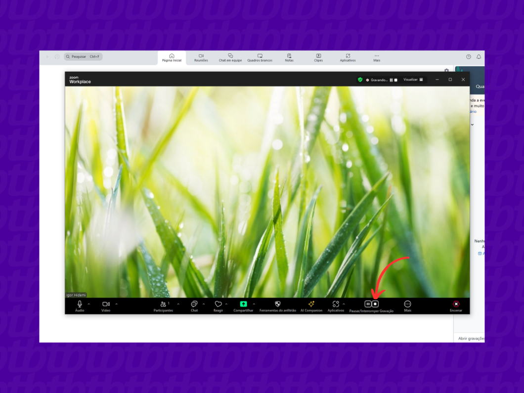 Interrompendo a gravação no Zoom pelo PC