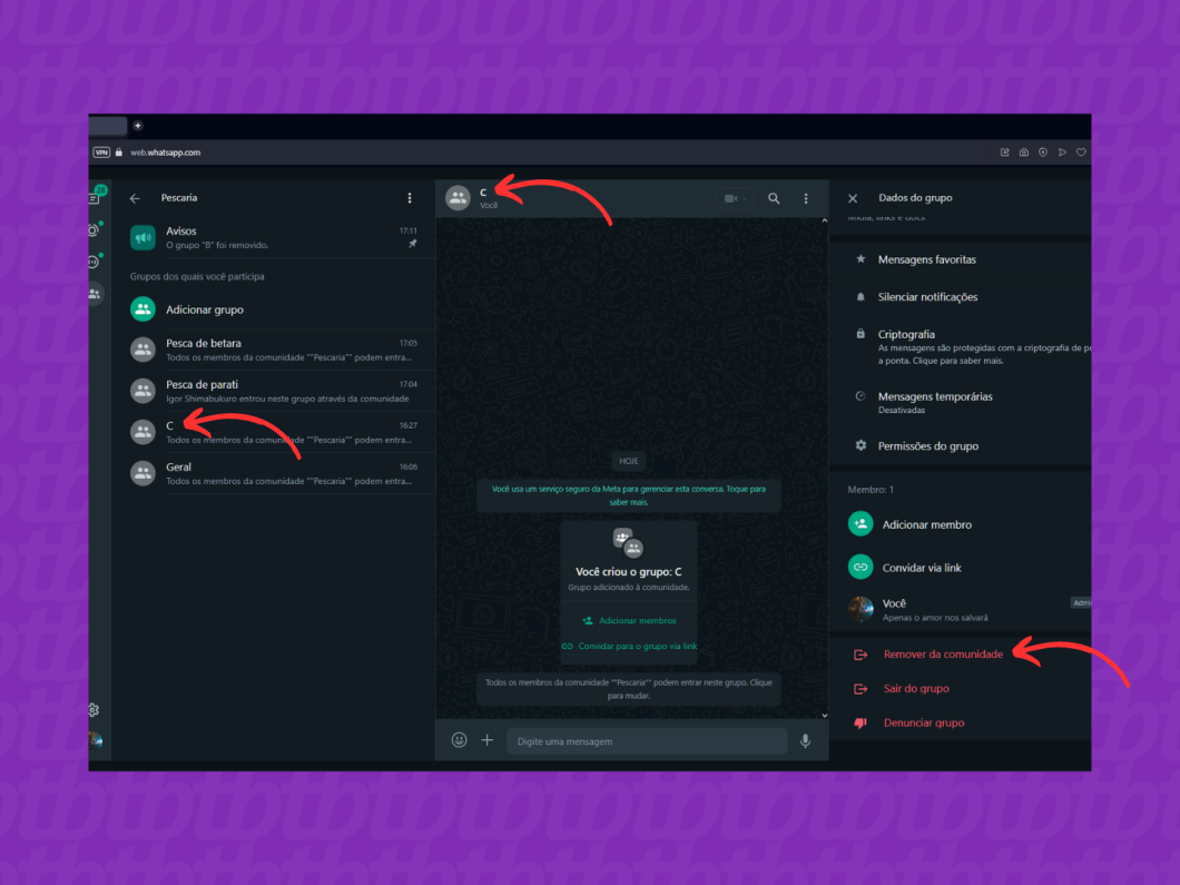 Removendo o grupo da comunidade pelo WhatsApp Web