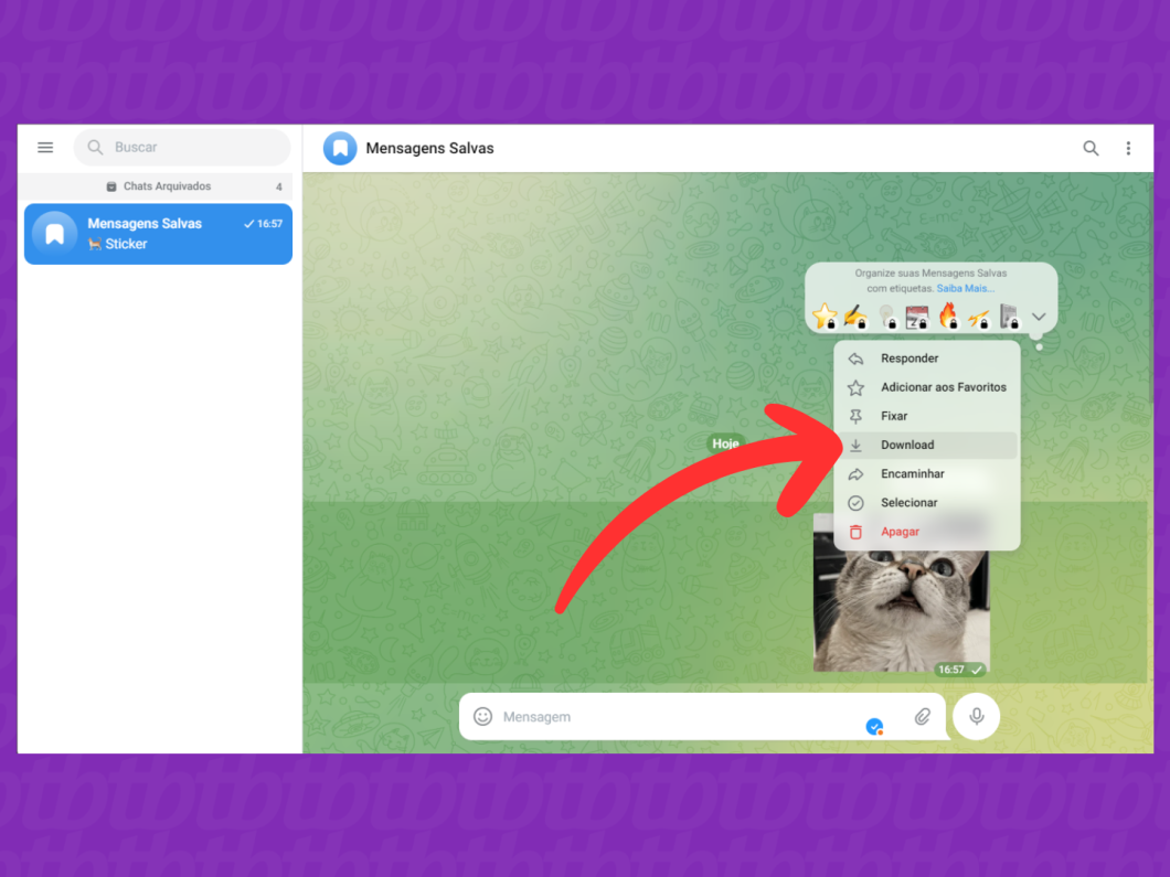 Captura de tela do Telegram Web mostra como baixar uma figurinha no PC