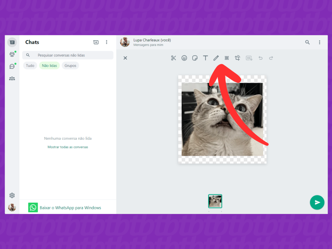 Captura de tela do WhatsApp Web mostra como editar uma figurinha