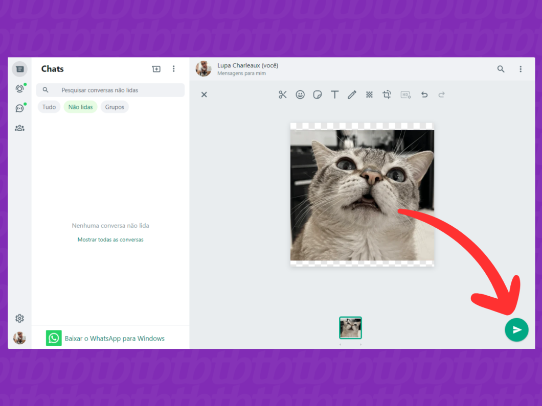 Captura de tela do WhatsApp Web mostra como enviar a figurinha na conversa