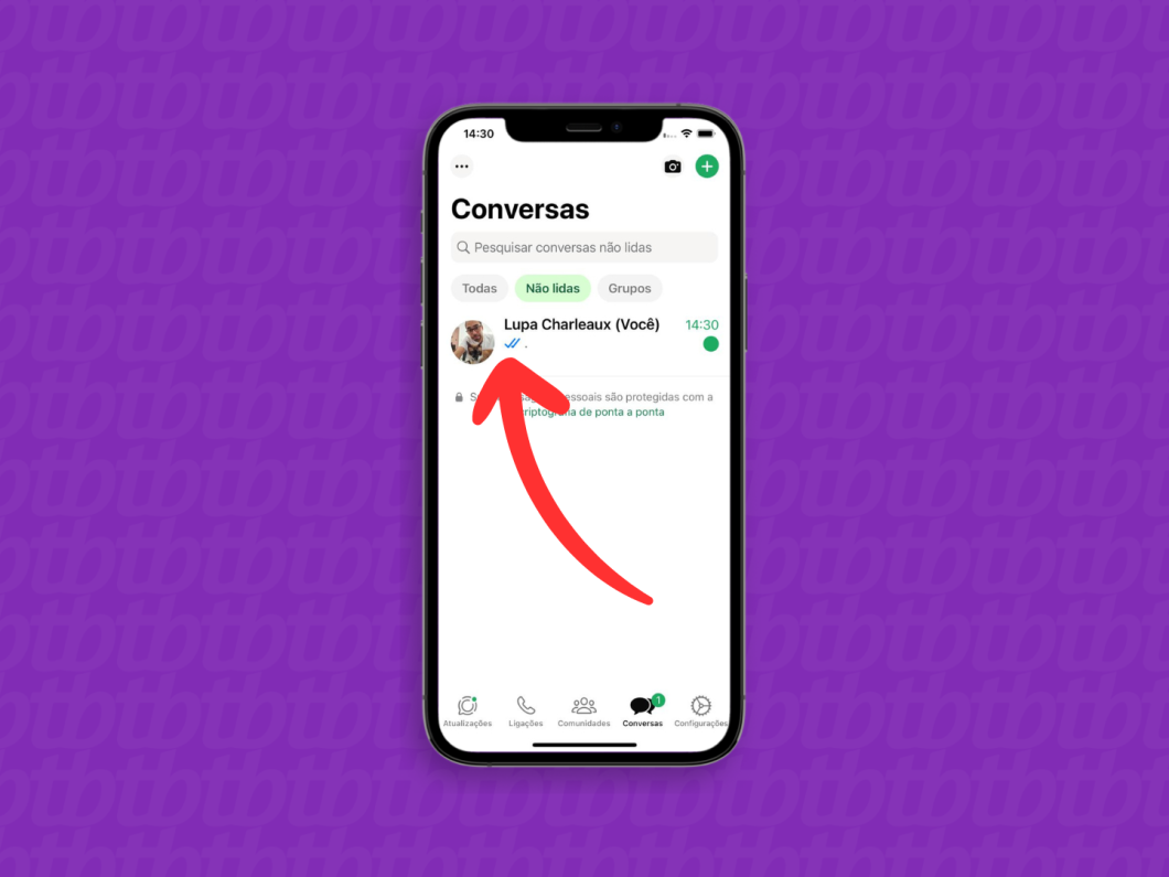 Captura de tela do WhatsApp no iPhone mostra como abrir uma conversa