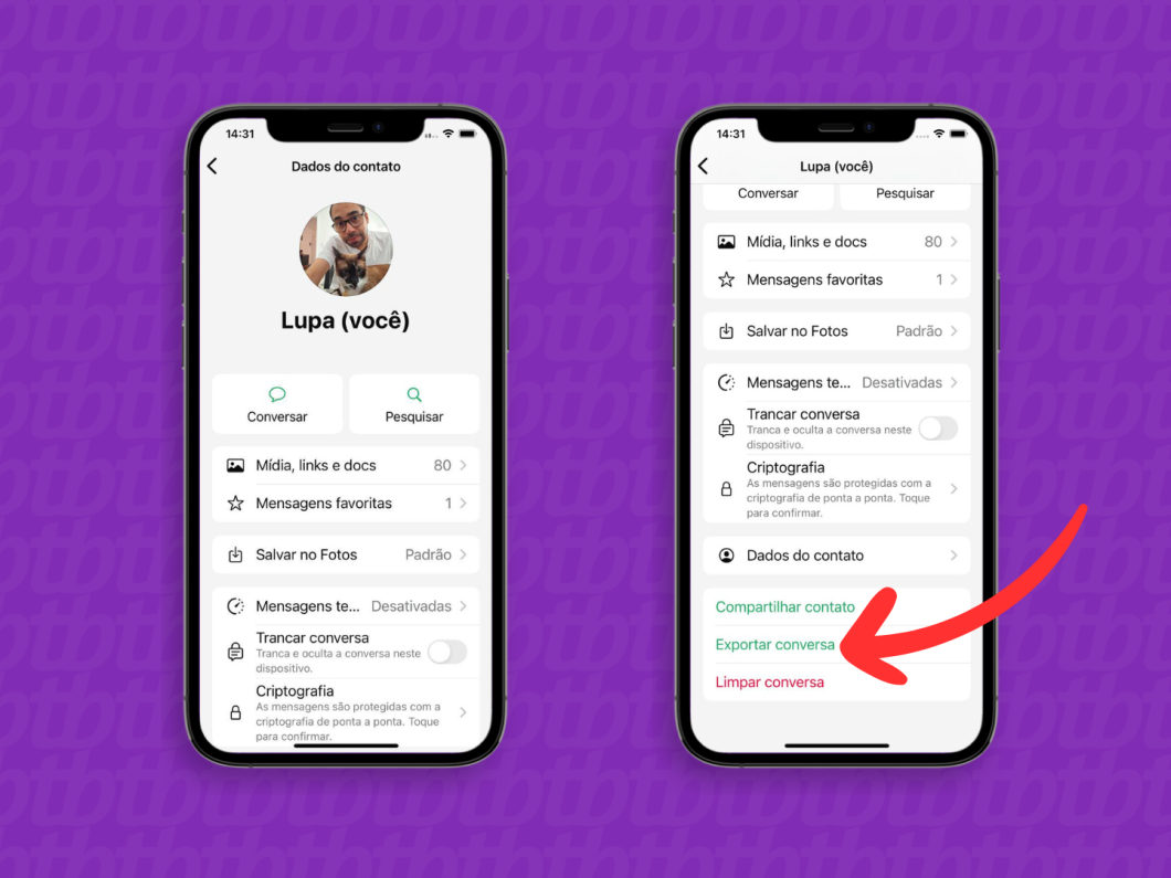 Captura de tela do WhatsApp no iPhone mostra como exportar conversa