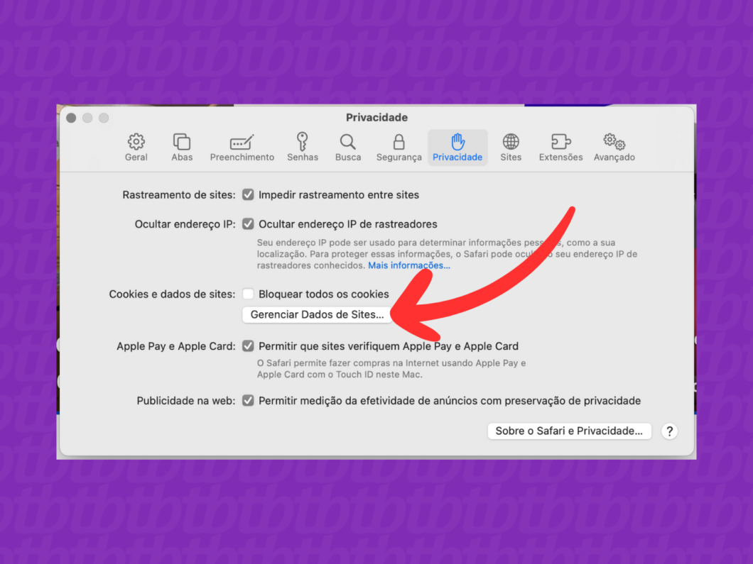 Captura de tela do navegador Safari mostra como abrir o menu Gerenciar Dados de Sites