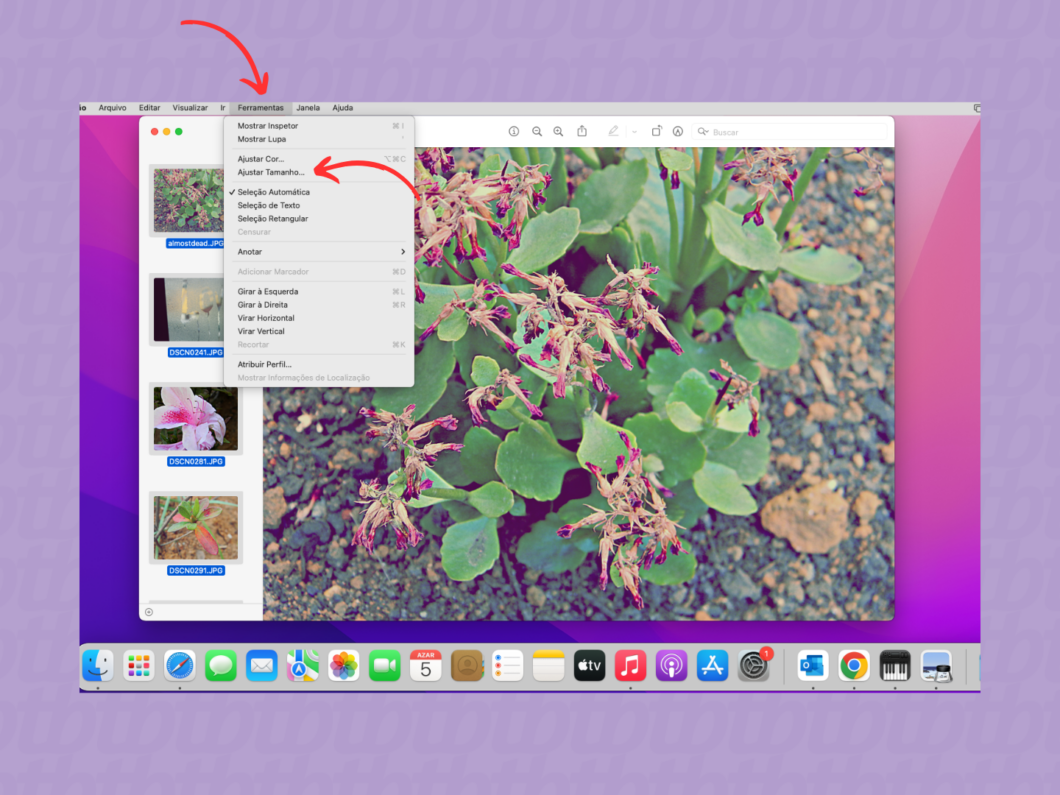 Entrando na opção "Ajustar tamanho" do macOS