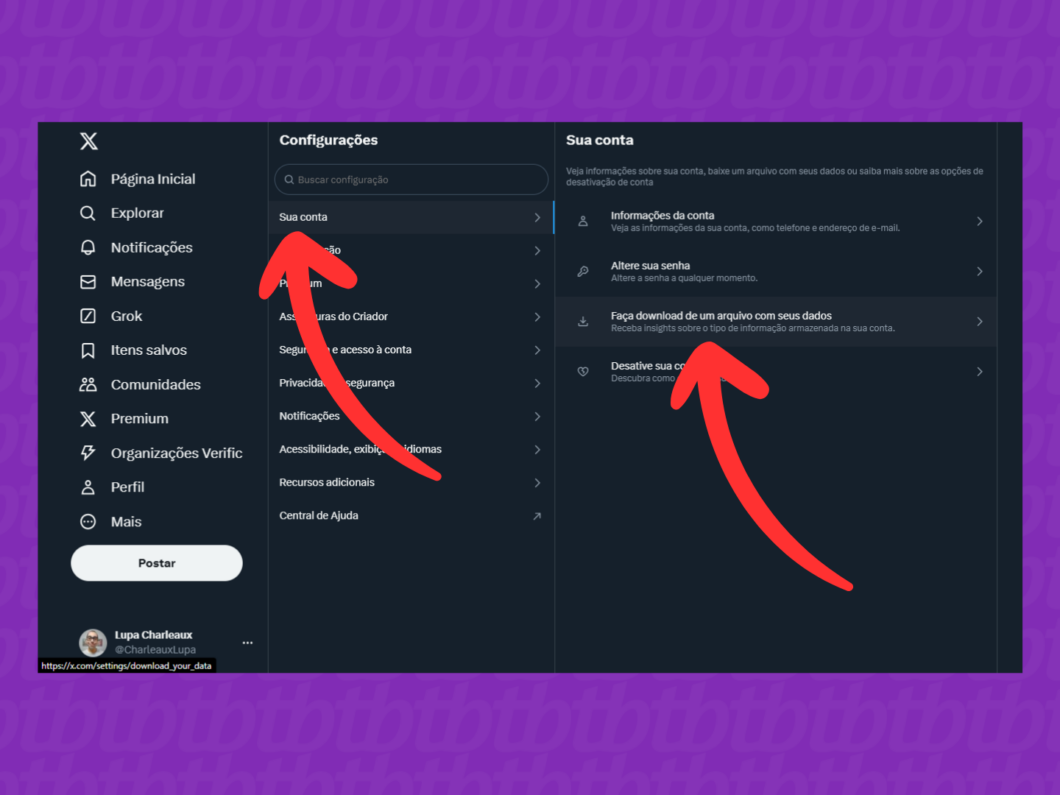 Captura de tela do X (Twitter) mostra como acessar a opção Faça download de um arquivo com seus dados