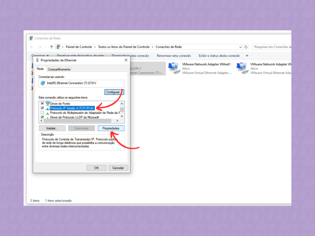 Entrando nas propriedades do protocolo IPV4 da rede conectada