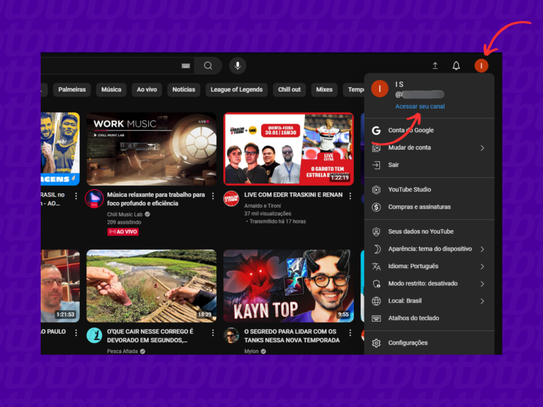 Acessando o canal do YouTube pelo PC
