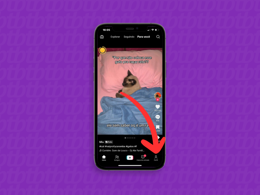 Captura de tela do aplicativo TikTok mostra como acessar o menu "Perfil"