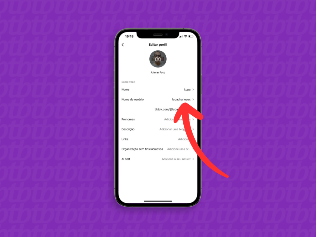 Captura de tela do aplicativo TikTok mostra como abrir a opção "Nome de usuário"