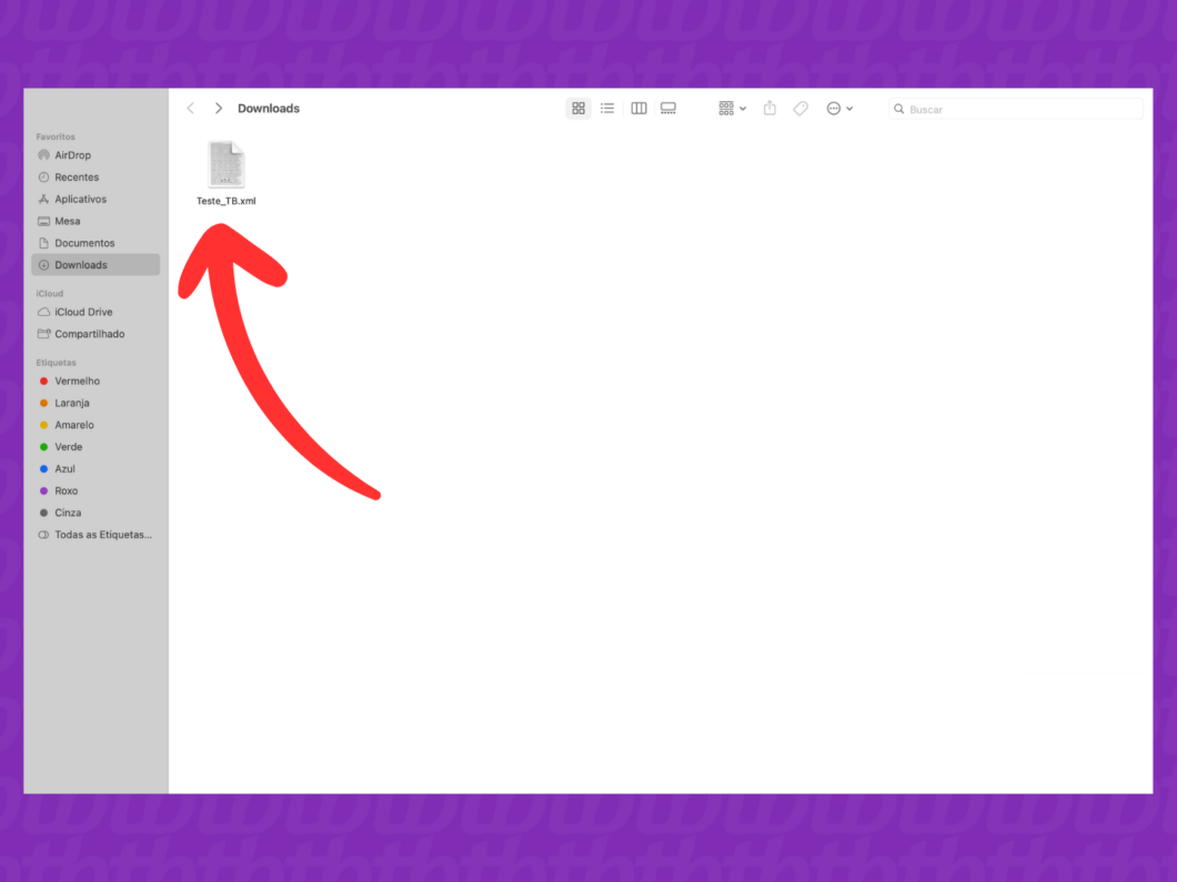 Captura de tela do app Finder mostra como selecionar o arquivo XML