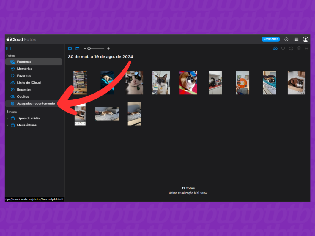 Captura de tela do site iCloud mostra como acessar a opção Apagados recentemente