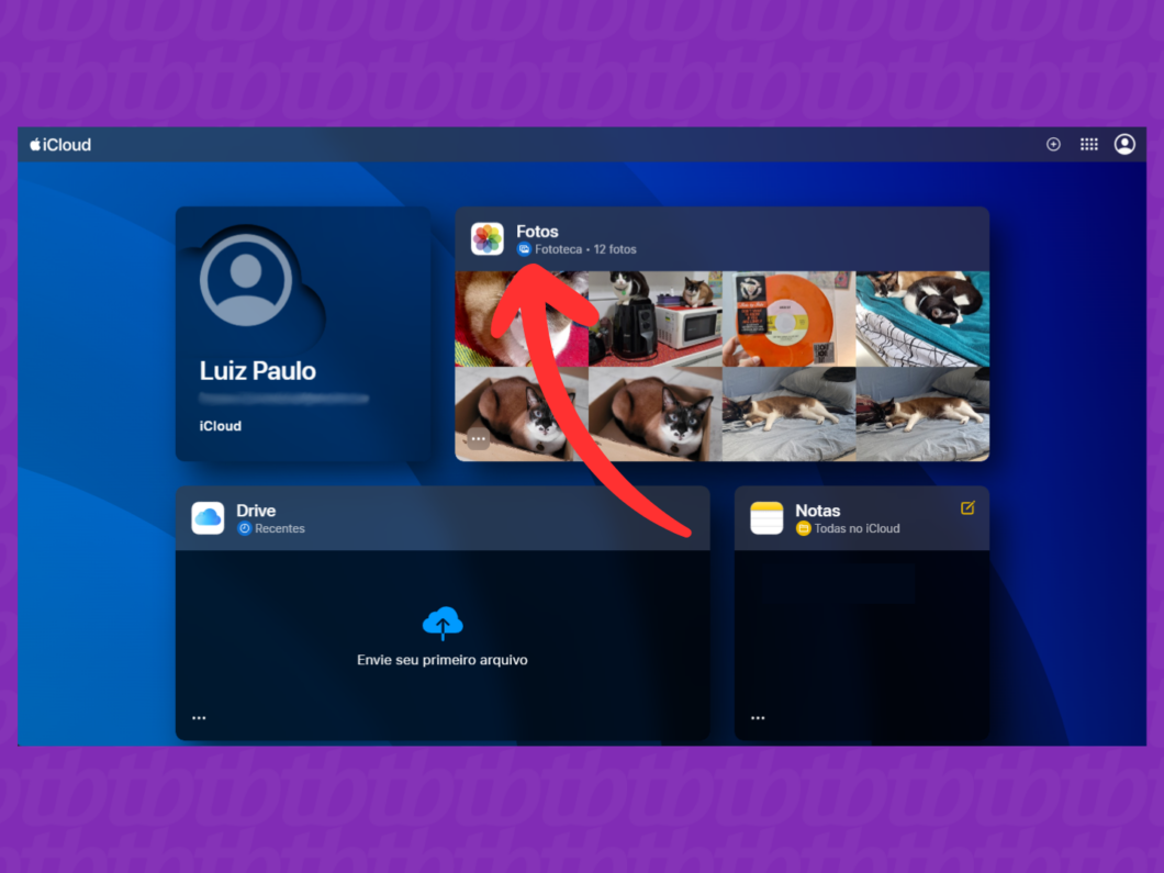 Captura de tela do site iCloud mostra como acessar a opção Fotos