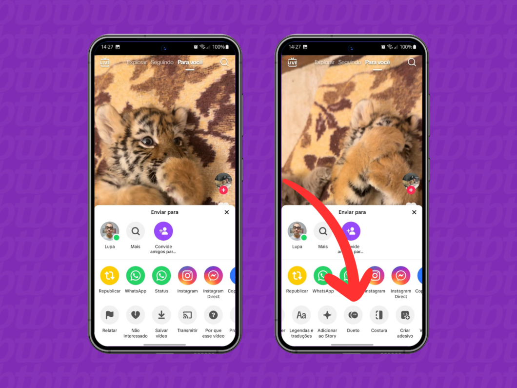 Captura de imagem do aplicativo TikTok mostra como acessar a opção Dueto