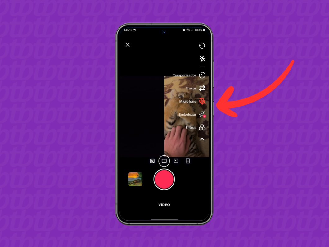 Captura de imagem do aplicativo TikTok mostra como usar as ferramentas do dueto