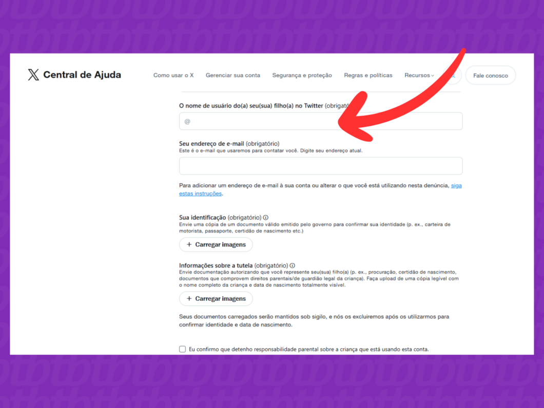 Captura de tela do X (Twitter) mostra como informar o nome de usuário do perfil na rede social