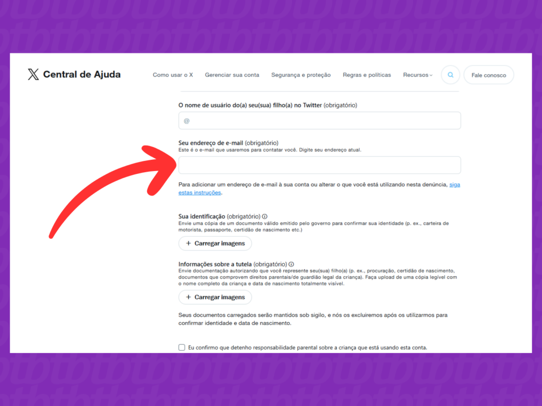 Captura de tela do X (Twitter) mostra como informar o e-mail de contato do responsável