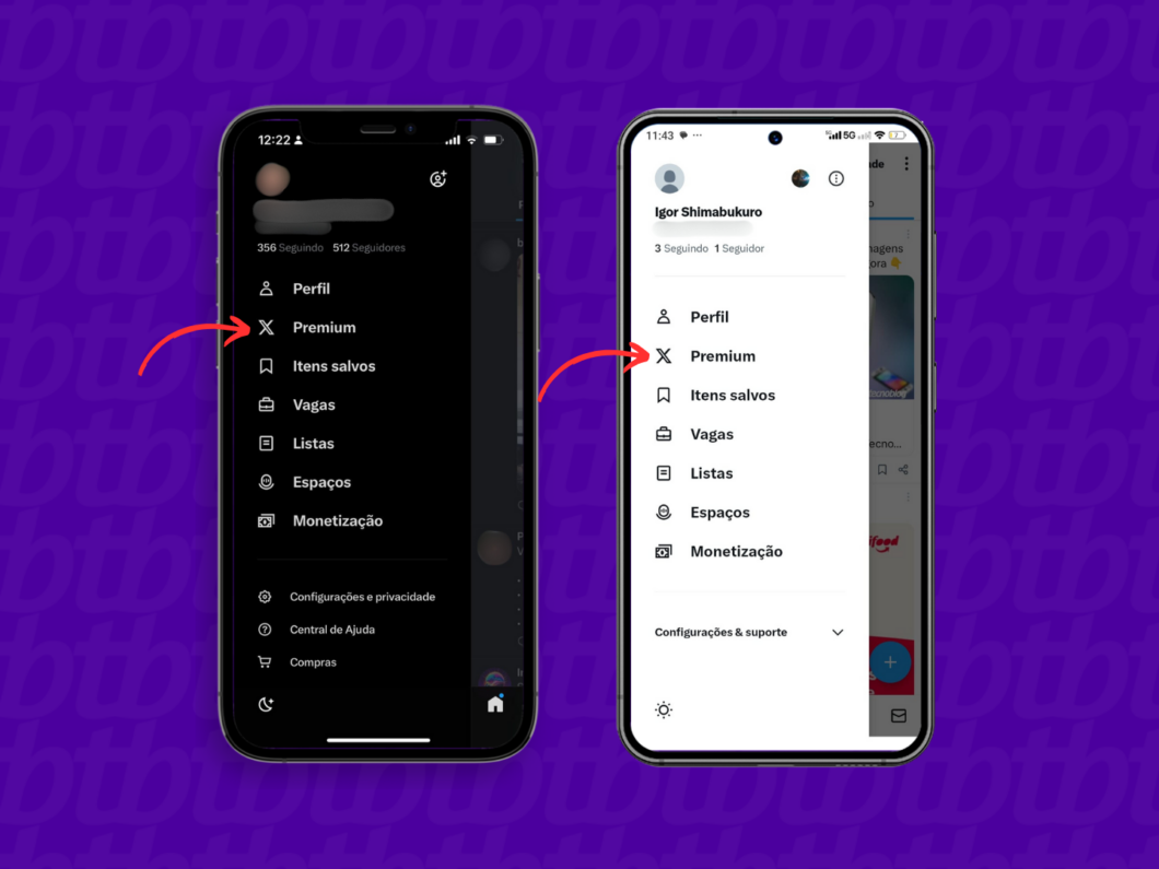 Entrando na guia "Premium" do X