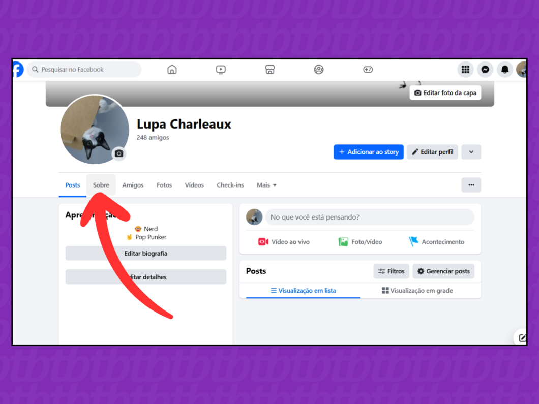 Captura de tela do site Facebook mostra como acessar a guia Sobre