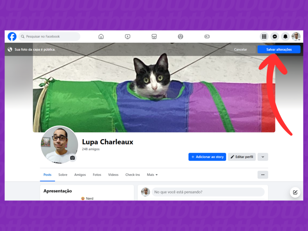 Captura de tela do site Facebook indica como salvar a nova capa do perfil