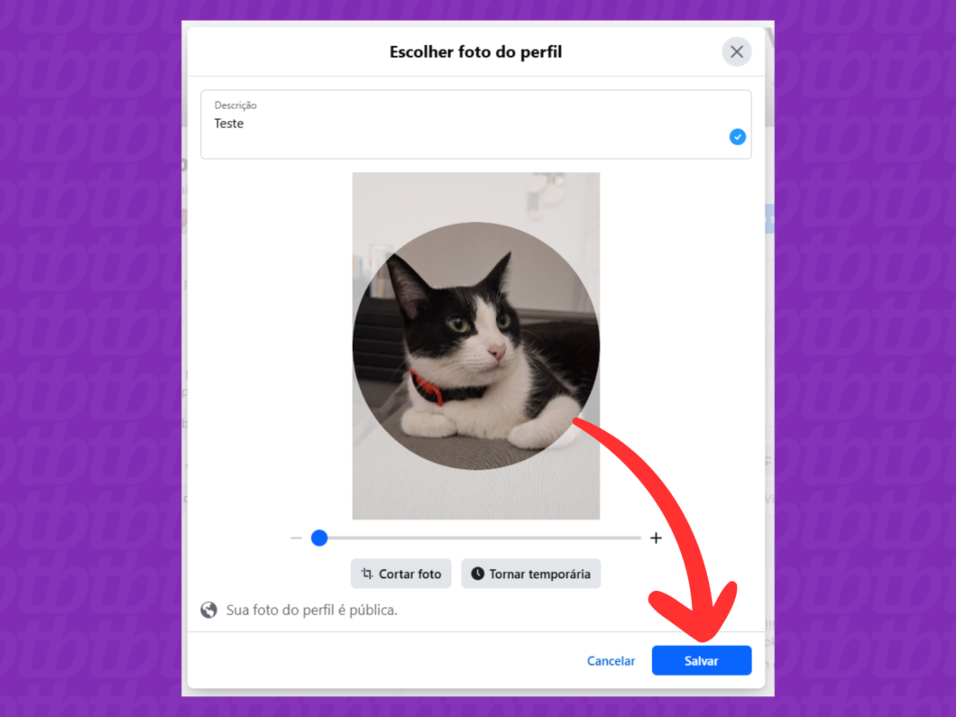 Captura de tela do site Facebook mostra como salvar a foto de perfil