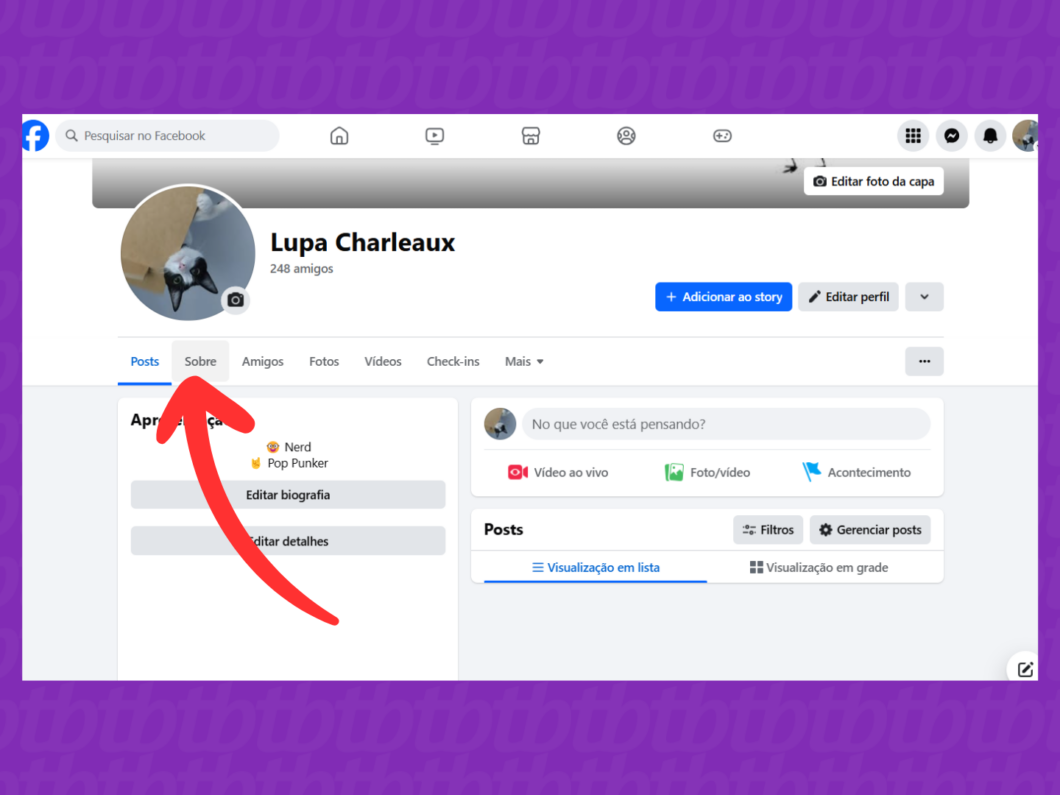 Captura de tela do site Facebook mostra como selecionar a guia Sobre