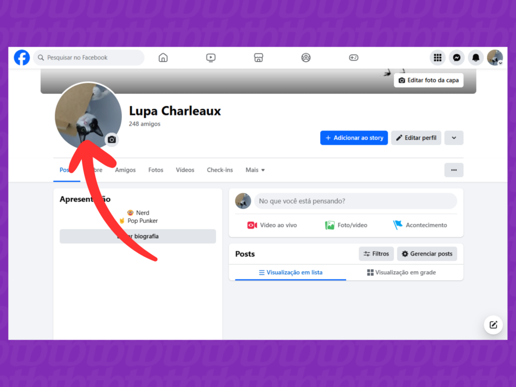 Captura de tela do site Facebook mostra como abrir o menu de opções da foto de perfil