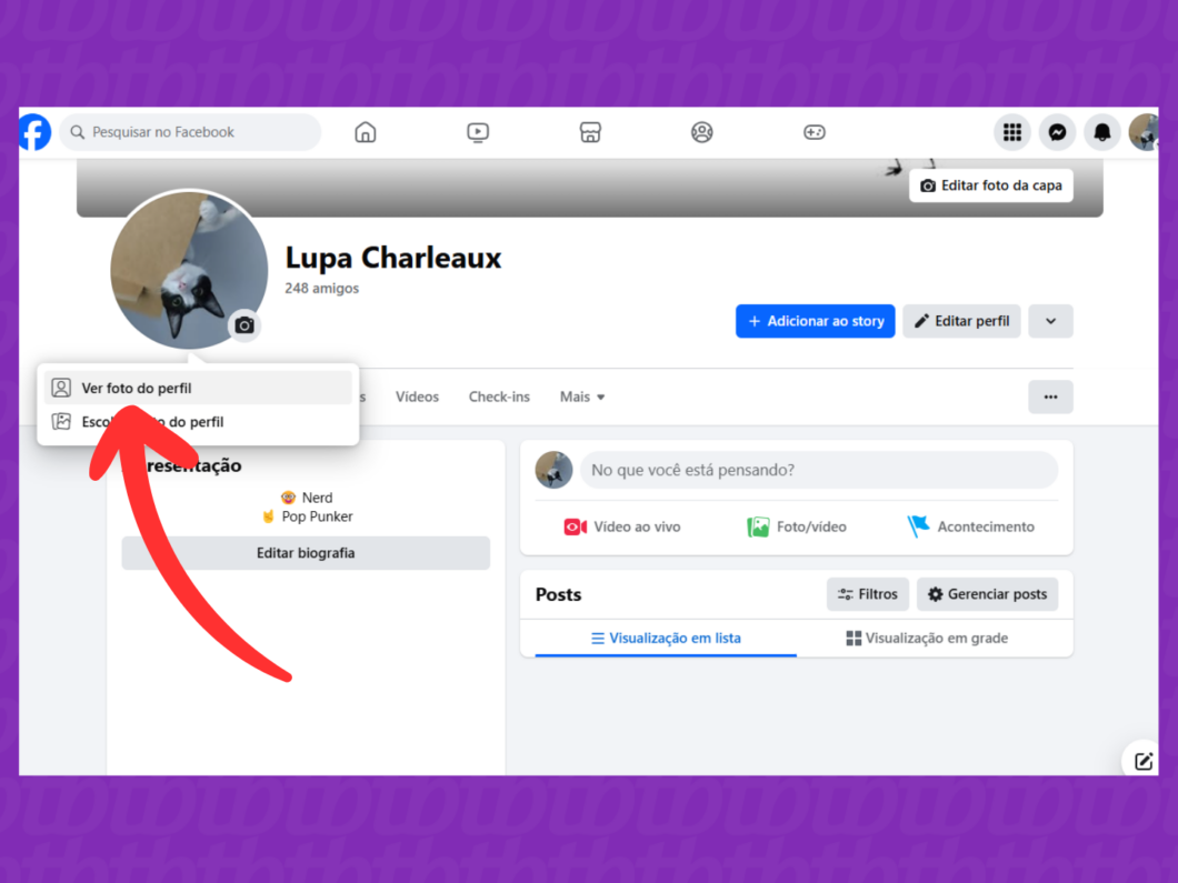 Captura de tela do site Facebook mostra como ver a foto de perfil