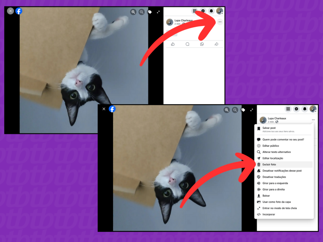 Captura de tela do site Facebook mostra como abrir o menu de opções da foto de perfil e selecionar excluir foto