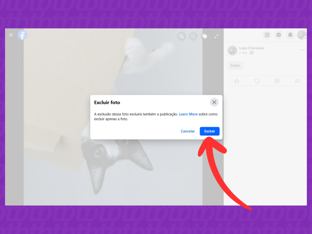 Captura de tela do site Facebook mostra como confirmar a exclusão da foto de perfil