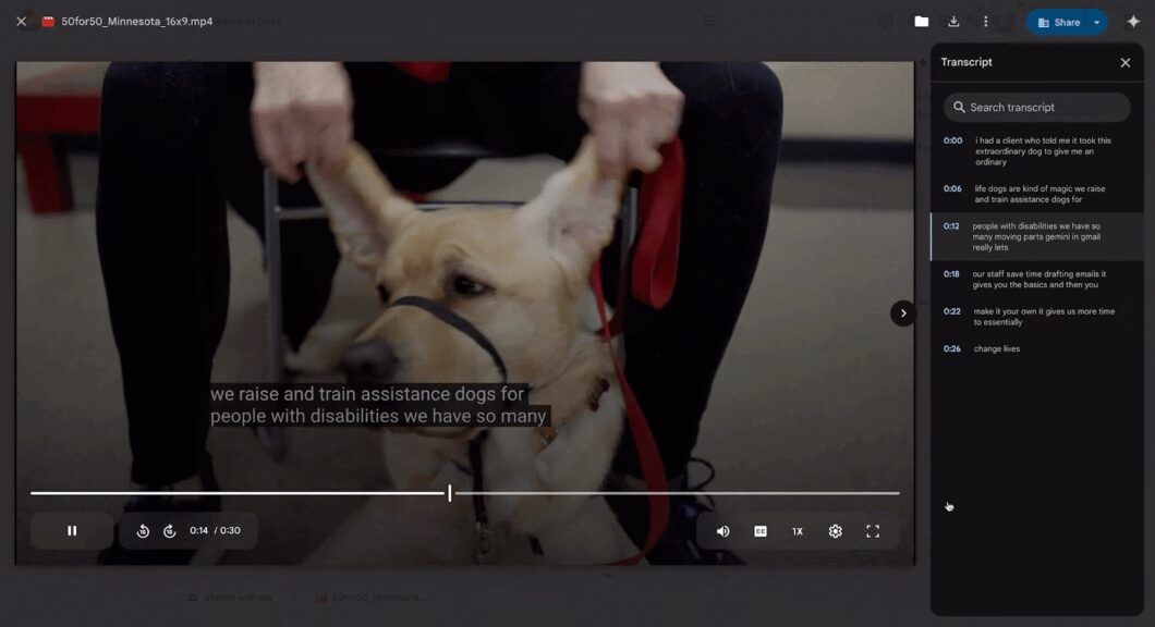 A captura de tela mostra a interface do Google Drive reproduzindo um vídeo chamado "50for50_Minnesota_16x9.mp4" com o recurso de transcrição ativado. O vídeo apresenta um cão de assistência sendo treinado, com legendas automáticas visíveis na parte inferior. No lado direito, há um painel de transcrição que exibe o texto gerado automaticamente, sincronizado com a linha do tempo do vídeo. O painel inclui uma barra de pesquisa para localizar palavras-chave na transcrição. Controles de reprodução estão na parte inferior, incluindo botões de pausa, retrocesso, avanço rápido e velocidade de reprodução. No canto superior direito, há opções de compartilhamento e configurações adicionais.