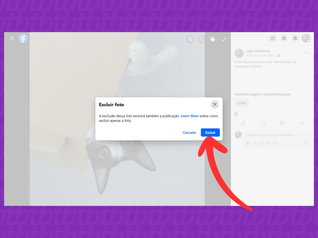Confirmando a exclusão da foto no Facebook
