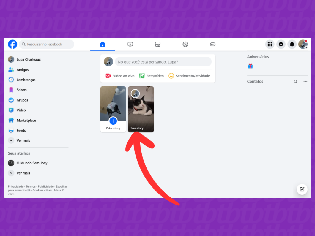 Acessando o "Seu story" no Facebook