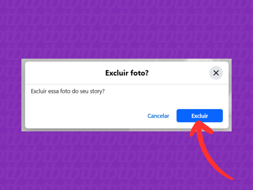 Confirmando a exclusão do story