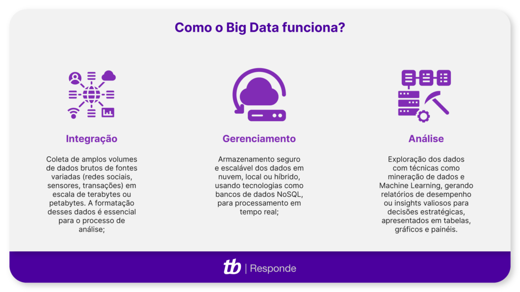 Infográfico sobre o funcionamento do Big Data