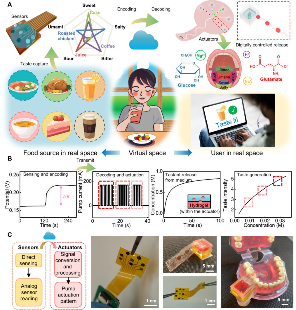 Imagem mostra um esquema de funcionamento do sistema e-Taste, indicando como o sensor sente o sabor e transmite através do dispositivo. A imagem ilustra o dispositivo e alimentos.