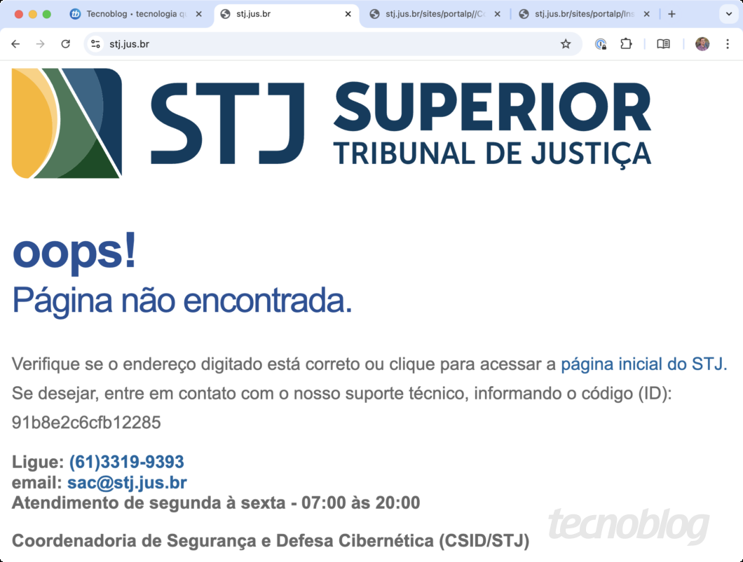 Print do site do STJ com a mensagem: "Oops! Página não encontrada"