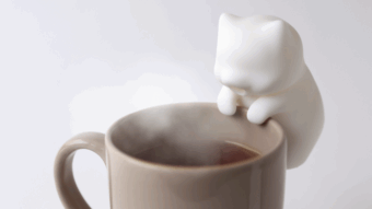 Criado por uma startup japonesa, o robô portátil Nékojita FuFu auxilia pessoas com sensibilidade ao calor, e pode ser entregue no Brasil.