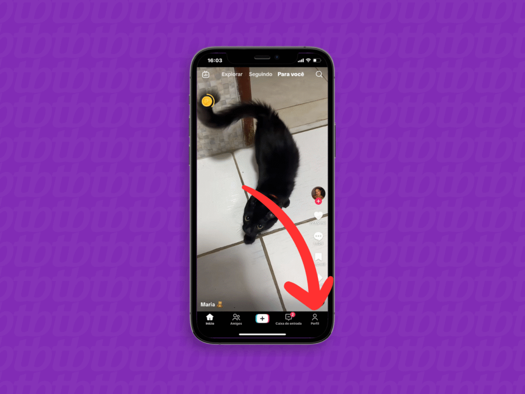 Abrindo o perfil no TikTok