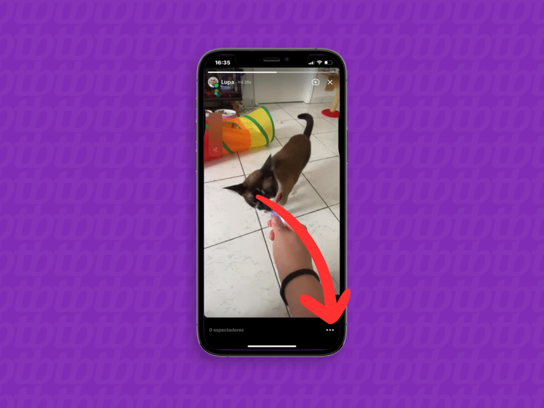 Selecionando o botão de três pontos no story