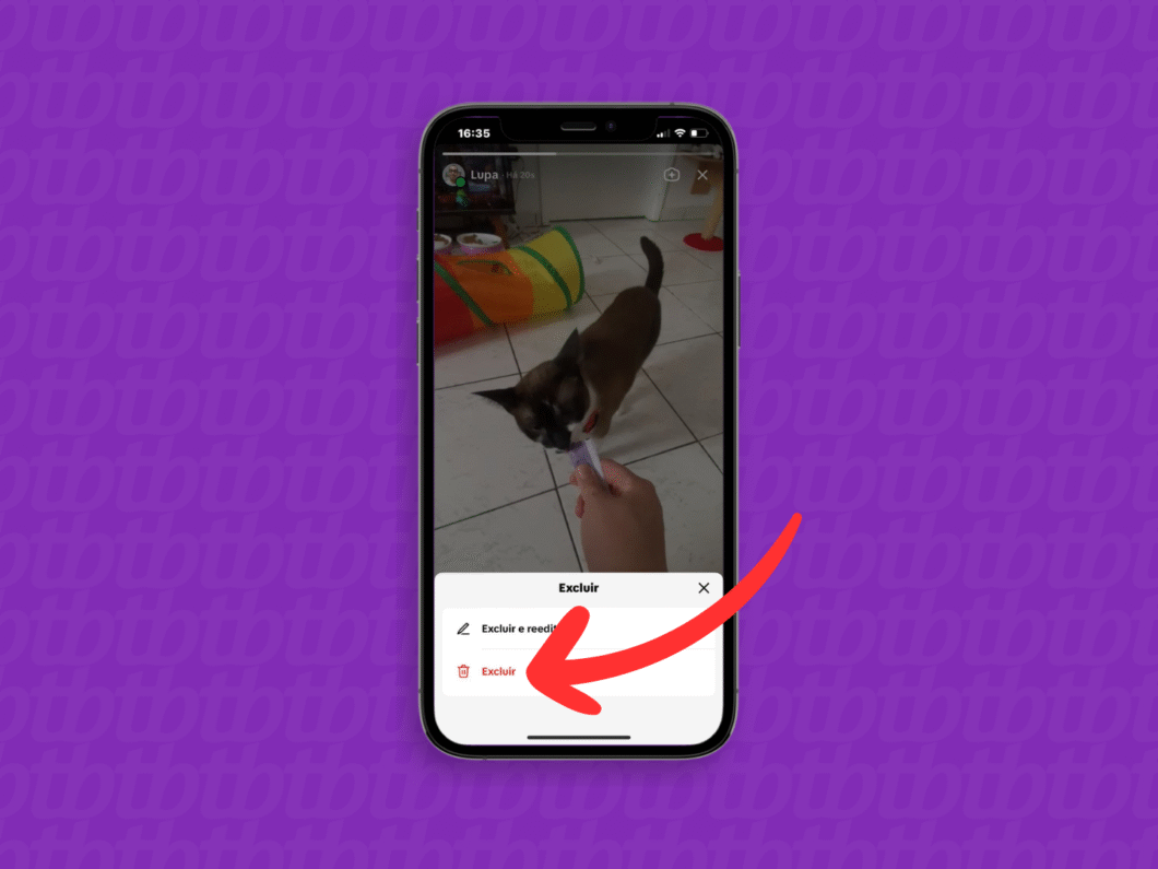 Confirmando a exclusão do story do TikTok