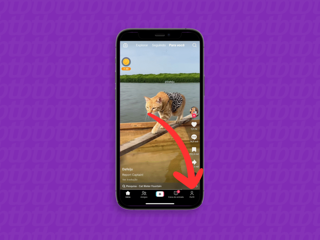 Abrindo o perfil do TikTok