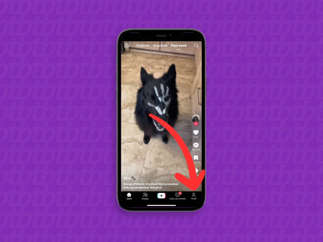 Acessando o perfil do TikTok