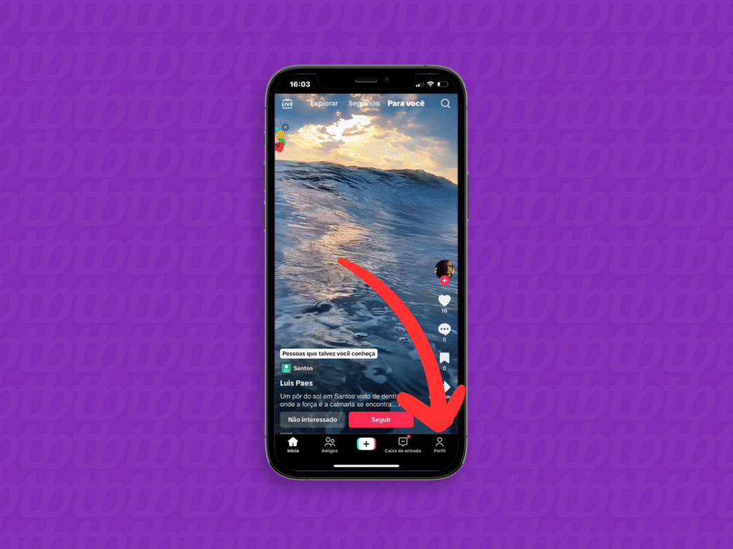 Acessando o perfil no TikTok