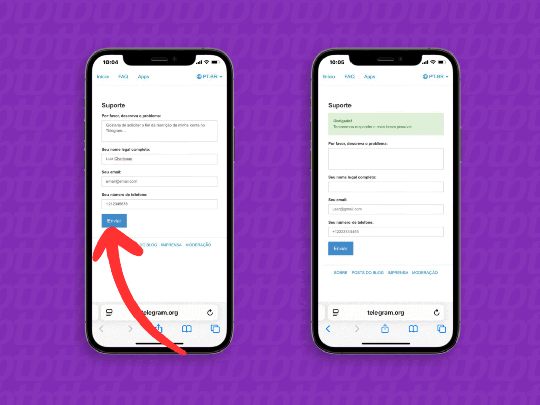 Enviando a solicitação para o suporte do Telegram