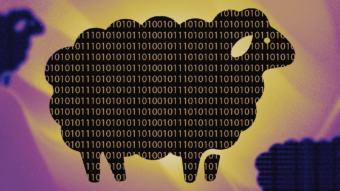 O ataque de pharming visa capturar credenciais de acesso e dados financeiros de forma silenciosa e automatizada, redirecionando o tráfego para sites fraudulentos